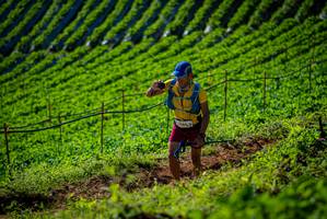 BIB: 
                            <button type="button" onclick="openModal(19161080)" class="btn btn-primary btn-sm float-right btn-popup" data-toggle="modal" data-target=".modal-high-quality">
                        <i class="fas fa-shopping-cart"></i> Add to Cart
                    </button>
                                            <button type="button" onclick="isThisMe(19161080, true)" class="btn btn-success btn-sm float-right btn-popup btn-isme hidden" data-toggle="tooltip" data-placement="bottom" title="นี่คือรูปของคุณใช่ไหม คลิกที่นี่เพื่อเอาเข้าอัลบั้ม">
                        <i class="fas fa-plus"></i> Add to album
                    </button>
                    <button type="button" onclick="isThisMe(19161080, false)" class="btn btn-warning btn-sm float-right btn-popup btn-isnotme hidden">
                        <i class="fas fa-ban"></i> Remove from album
                    </button>